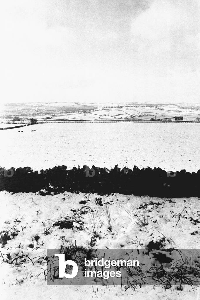 Rural scene in Northumberland, 28 March 1972 (b/w photo)