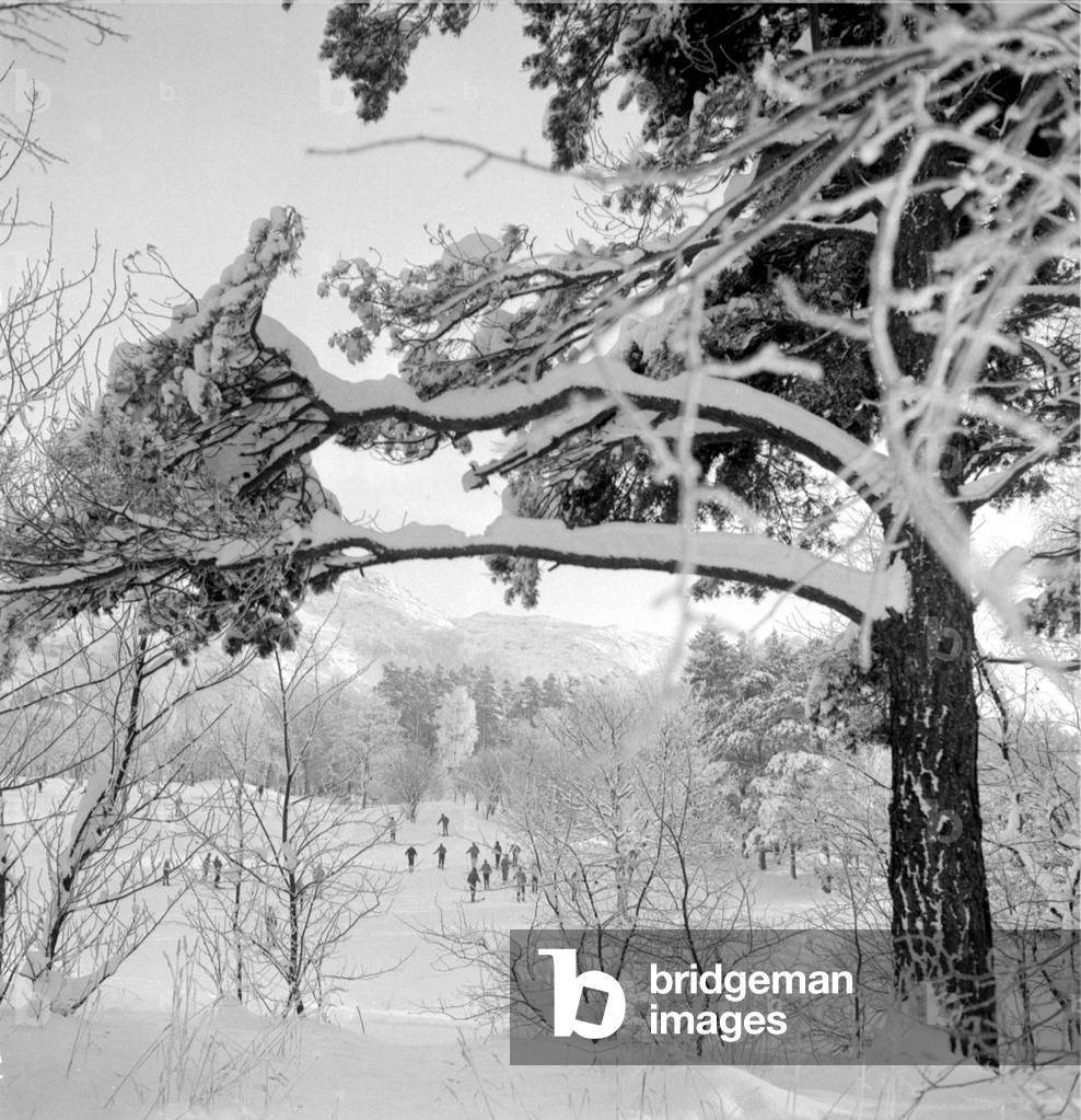 Snowy winter scene with people out having fun in the snow, 1962 (b/w photo)