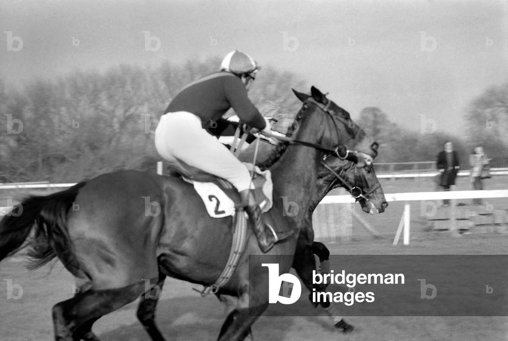 Sport: Horseracing. Racing at Windsor 