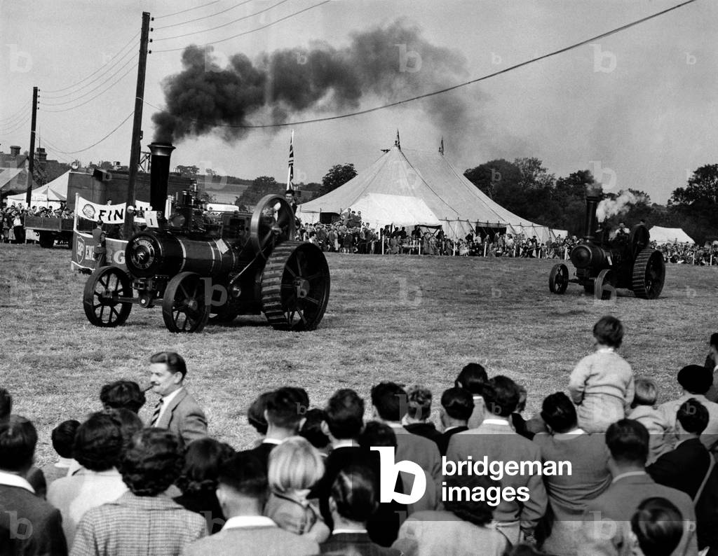 Traction Engines in race at Rally. A race between 10-ton traction engines, with policemen at the wheel, over a half-mile course, was one of the main attractions at a steam traction engine dally at Paris Hall Farm, Epping, the rally organized by the Epping police sports club in conjuction with the national traction engine club, was opened by the former light-heavyweight boxing champion of the world, Freddie mills. 1st October 1955 (b/w photo)