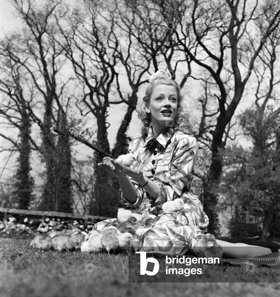 Actress Pat Dainton with Easter Chicks. April 1950 O23473-004