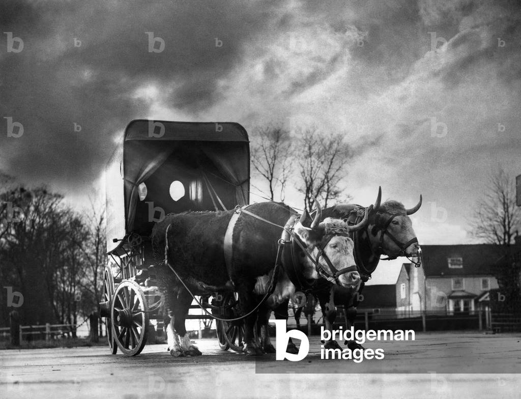 A scene on the Arterial Road to Southhend. 