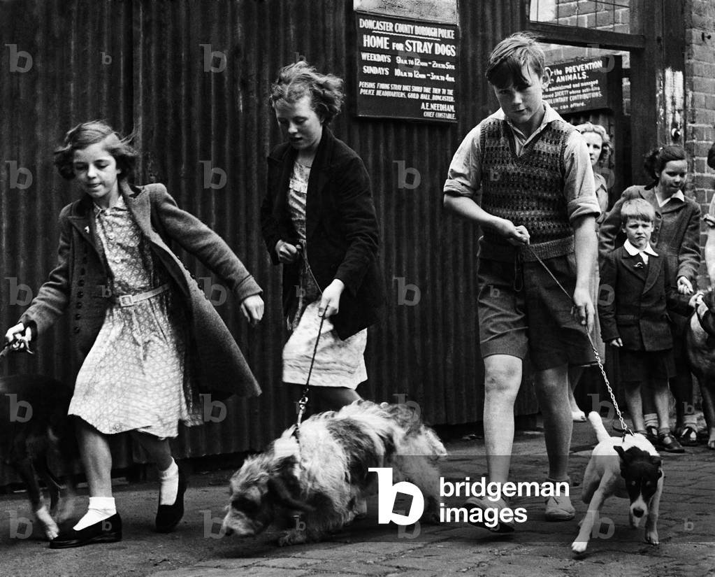 Three children walk their pets, or rather are tugged along the pavement by their eager dogs. Doncaster, South Yorkshire, August 1952 (b/w photo)