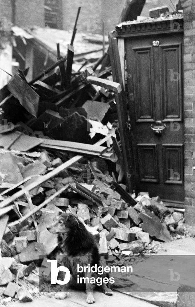 Bomb damage in Liverpool. Shep, the old dog standing outside the door of his home after it had been demolished by a high explosive bomb during relentless raids on Merseyside. As the house was unoccupied at the time, no one was injured., 25th October 1940 (b/w photo)