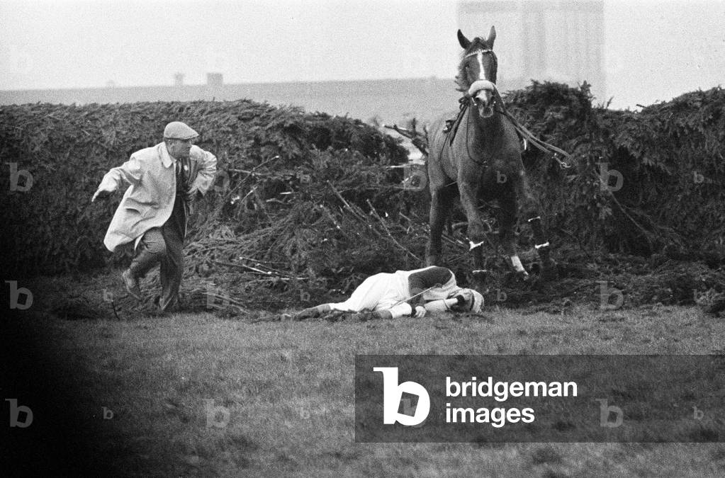 Jockey Paddy Farrell is thrown from his horse Border Flight at the 15th fence of the Aintree Grand National. Farrell broke his back in the accident and was confined to a wheelchair. 21st March 1964 (b/w photo)