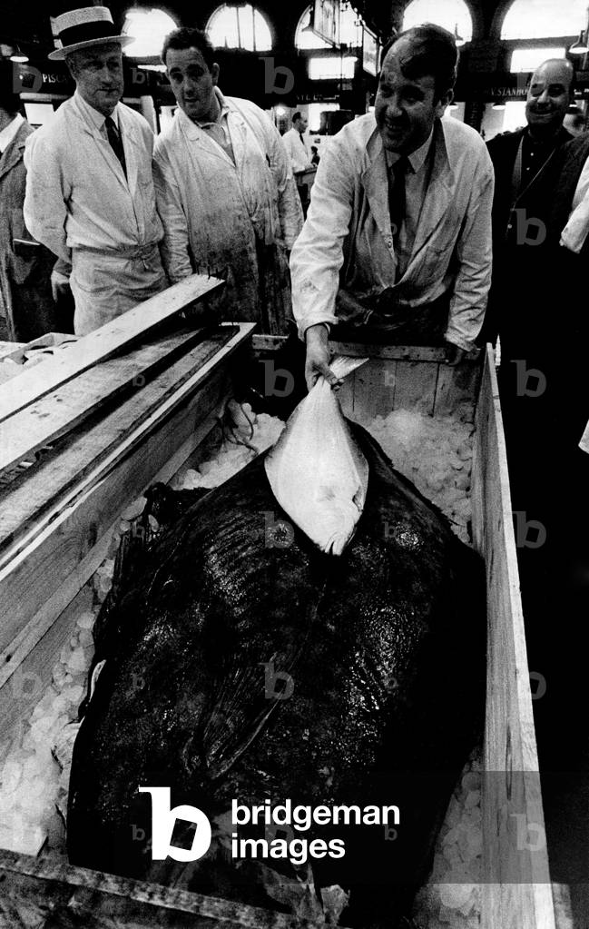 Billingsgate Fish market. Halibut. September 1968