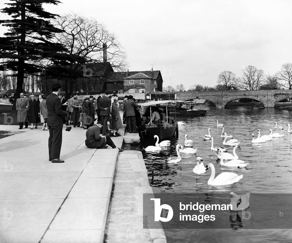 Pleasure boat on the River Avon at Stratford-upon-Avon, Warwickshire. 6th April 1959 (b/w photo)
