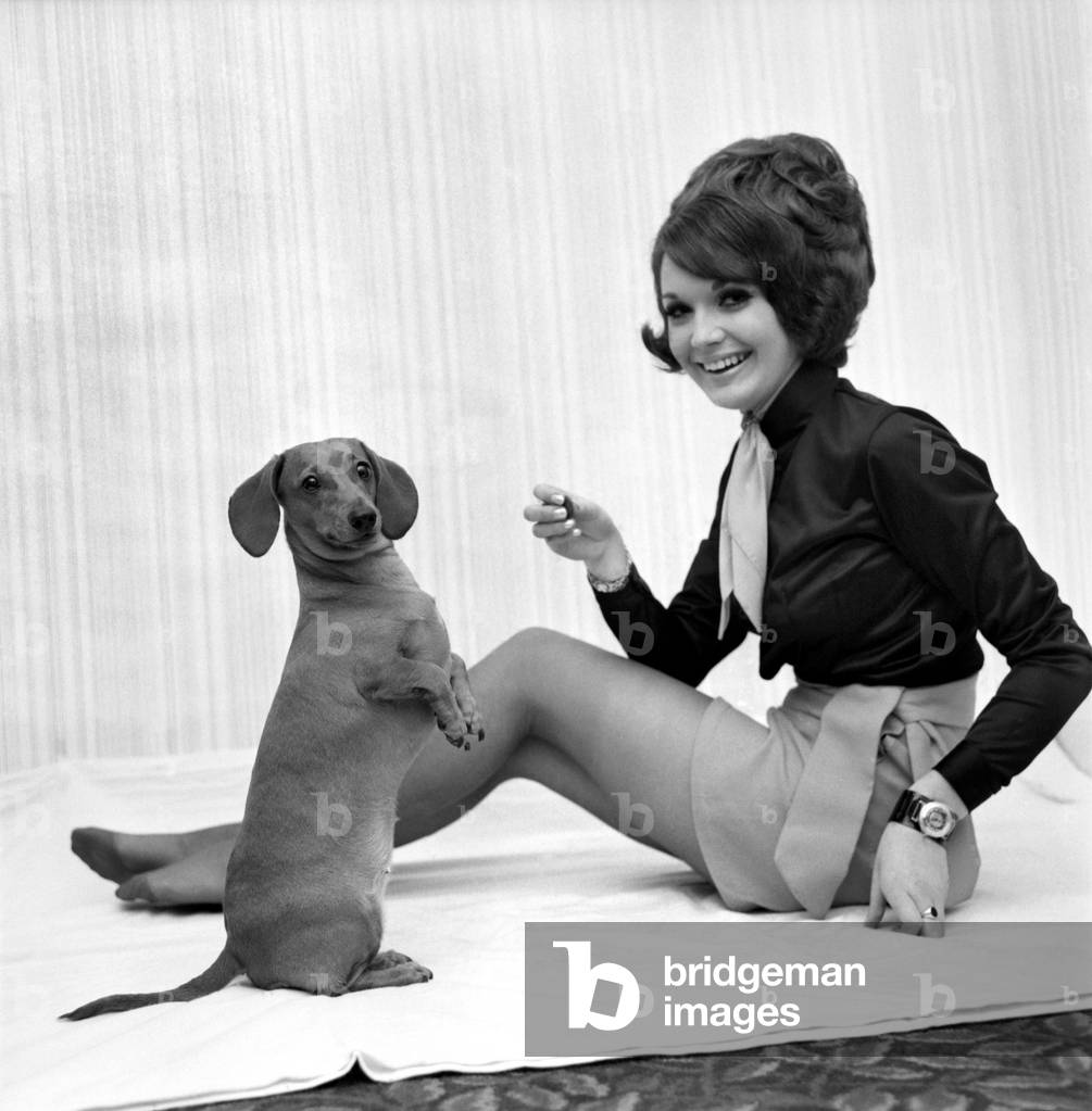 Pamela Moss, 19, of Higher Bebington, Wirral, Cheshire, a hair stylist reigning Poppy Queen of the local British Legion, and it is the first competition she has ever entered. Posing wearing a mini skirt. November 1969