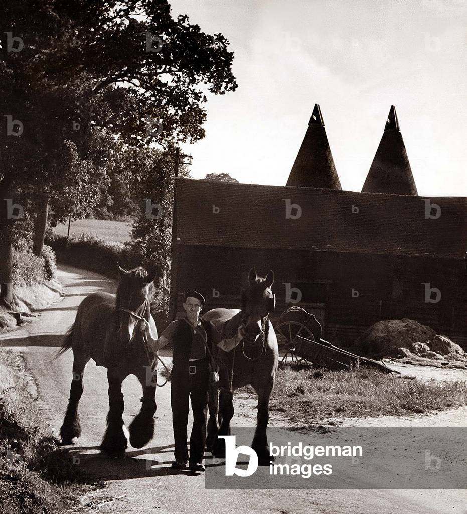 Farmer Fred, Pool's Farm, Kent, 1950 (b/w photo)