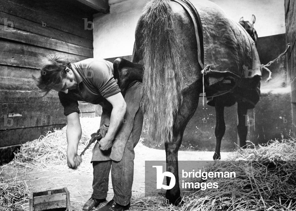 Blacksmith Doug Dunn shoeing racehorses in a stable near his forge at Rennington