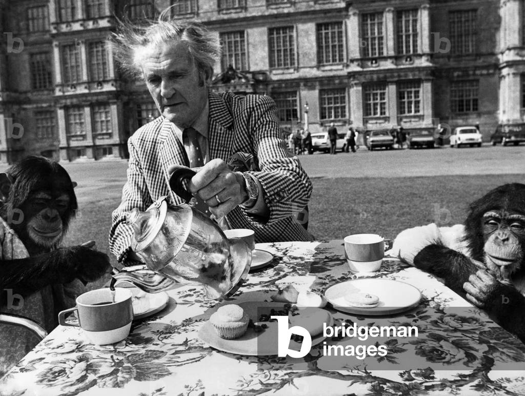 Lord Bath gave a tea party on the lawns of his house at Longleat. 1976 (photo)