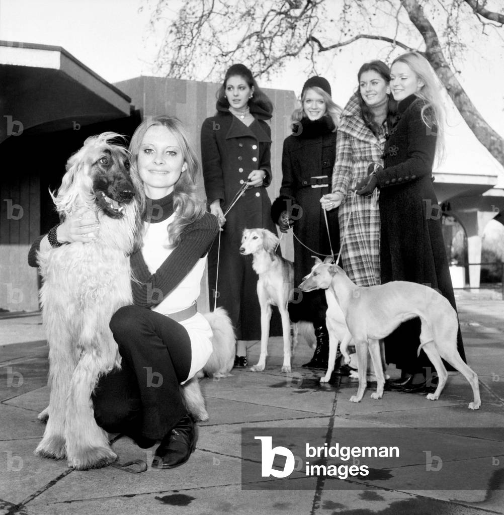 Some of the dogs taking part in the Richmond Dog Show next Saturday, were in need of a little training in department. The answer was to ask some of the girls from a Model Agency to help out. So today in Hyde Park they met. Model Nicky Howorth holds 