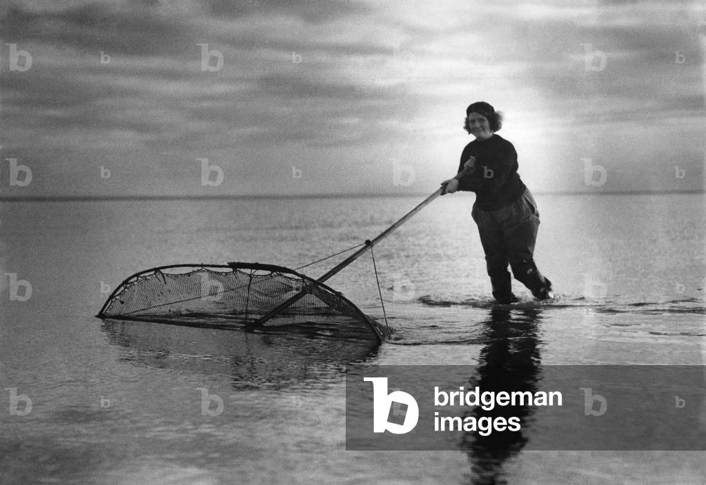 Mrs Wilkinson a hardy fisherwoman, pushing her shrimping net through the sea. 
November 1937
