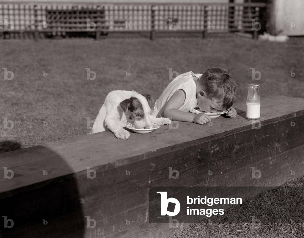 A dog and a young boy imitate each other as they lap up their breakfast together, 4th August 1932 (b/w photo)