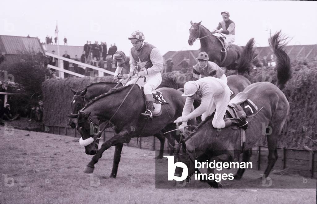 Grand National 1969 Kilburn No 7 stumbles and throws his jockey T Carberry on the second circuit at Beechers . Andrew Parker Bowles on The Fossa (Spotted Cap) is following, March 1969 (b/w photo)