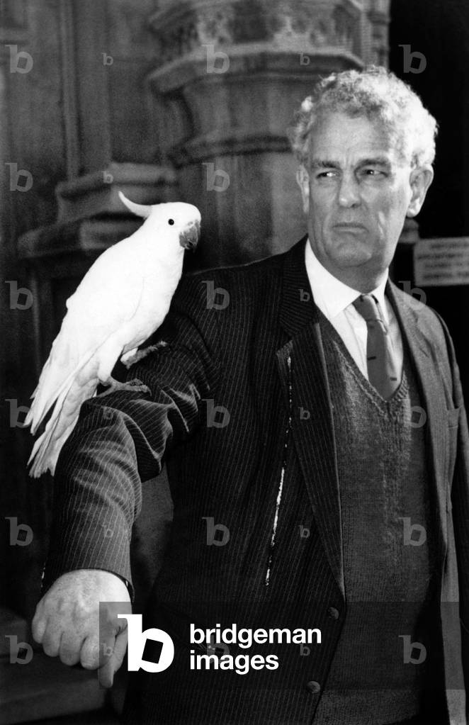 Whoês a Messy Polly? Crusading MP Tam Dalyell stretched out a hand to help the world's parrots yesterday. And what did he get for his trouble? A mucky suit, thatês what. This cockatoo sat on his arm in London and left a mark that didnêt match the pinstripes. Labour's talkative Tam, launching a parrot conservation campaign, glared at the squawking bird as though at Margaret Thatcher, and asked: Doesn't it remind you of someone? Who's a Messy Polly? October 1989