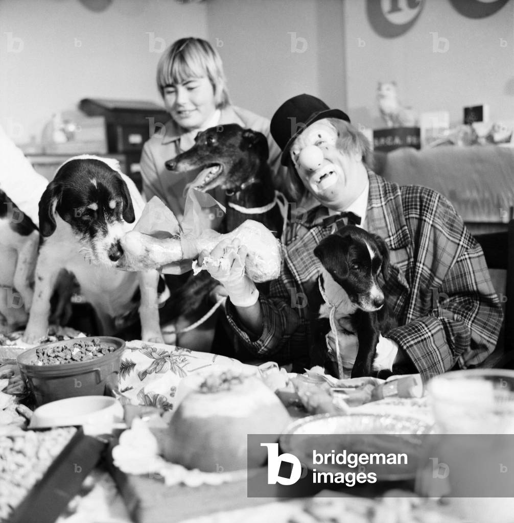 Dogs Christmas Party. 'Hobo' plays host to the doggy guests enjoying a menu of biscuits, dog-meat, turkey gravy-sauce and chocolate-drops. 
December 1970