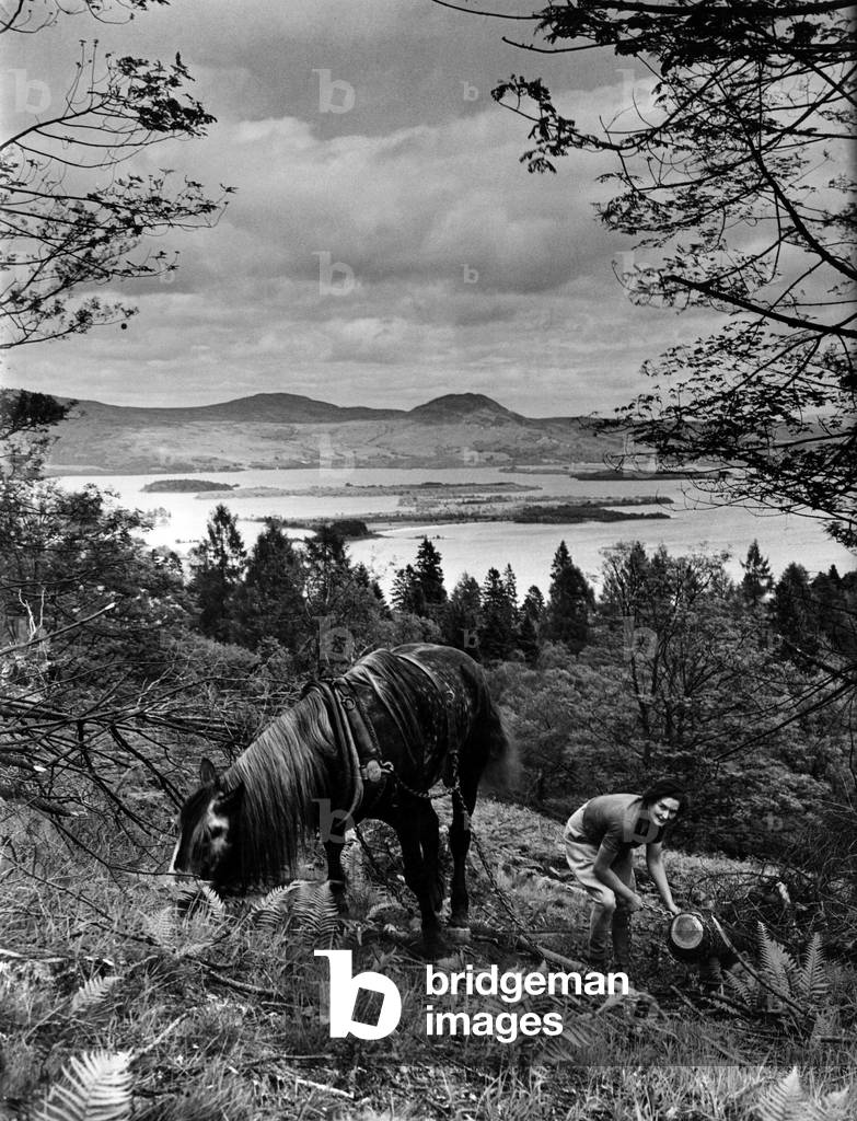 Woman and horse at Loch Lomond. Loch Lomond is a freshwater Scottish loch which crosses the Highland Boundary Fault. Loch Lomond is currently split between the council areas of Stirling, Argyll and Bute, and West Dunbartonshire. Scotland 1942 (b/w photo)