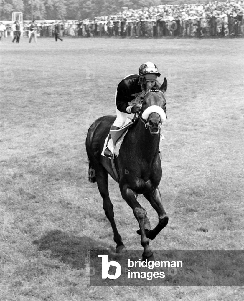 Mill Reef the wonder horse that earned over ,000 in prize money comes galloping home. August 1972 P000040