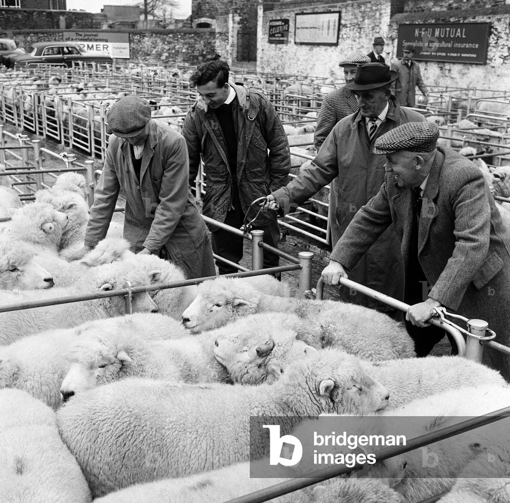 Market scenes in Barnstaple, North Devon. 9th January 1966 (b/w photo)