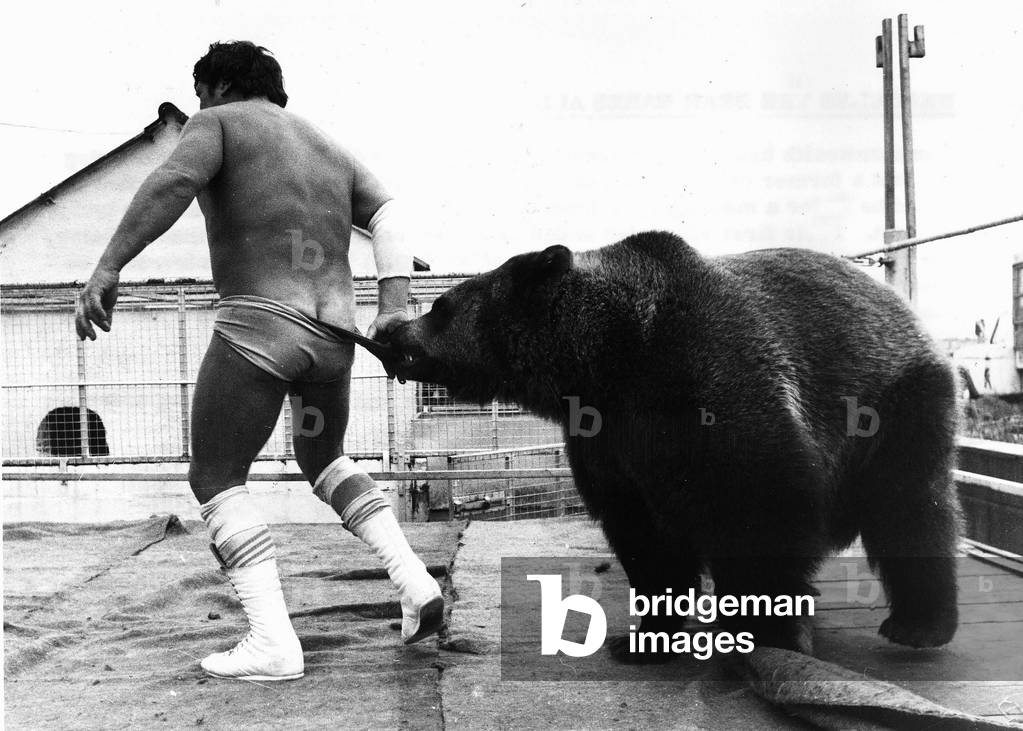Andy Robin wrestler with Hercules the bear, 1979 (b/w photo)