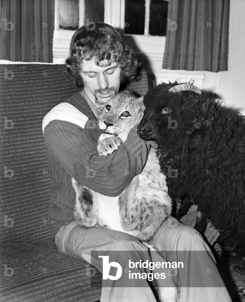 Lamb and Lion and Safari Warden Ken Lawrence. December 1974