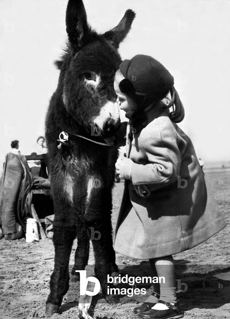 Holidays - Children with Animals Donkey Dorothy 4 Years old with a young Donkey on the sands at Blackpool, 18/06/1960 (b/w photo)