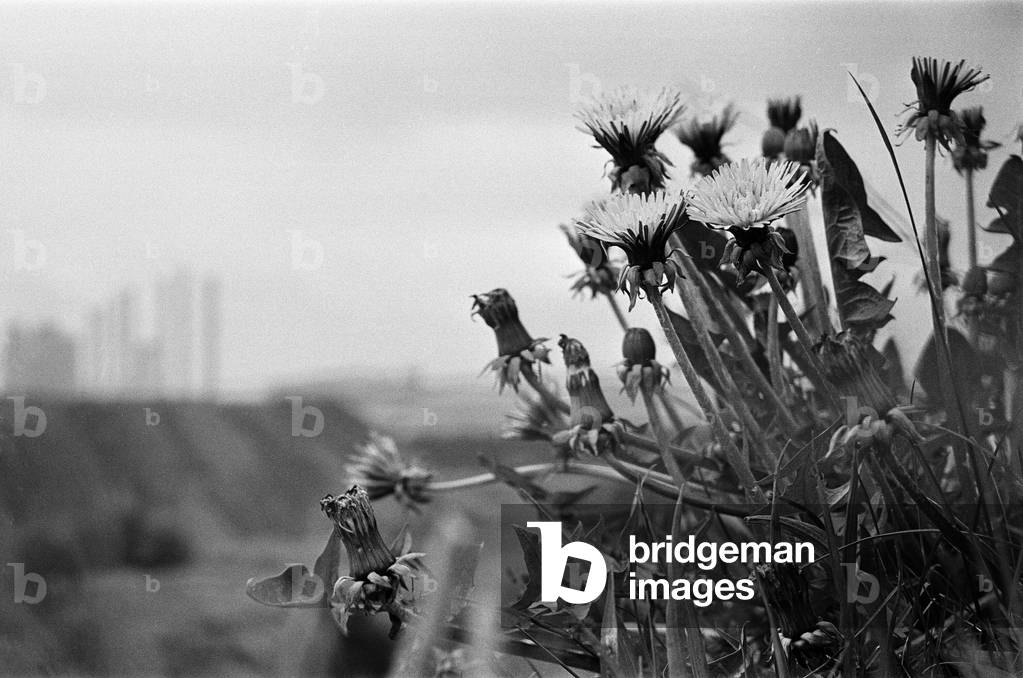 The Black Country, West Midlands, England. 25th May 1968 (b/w photo)