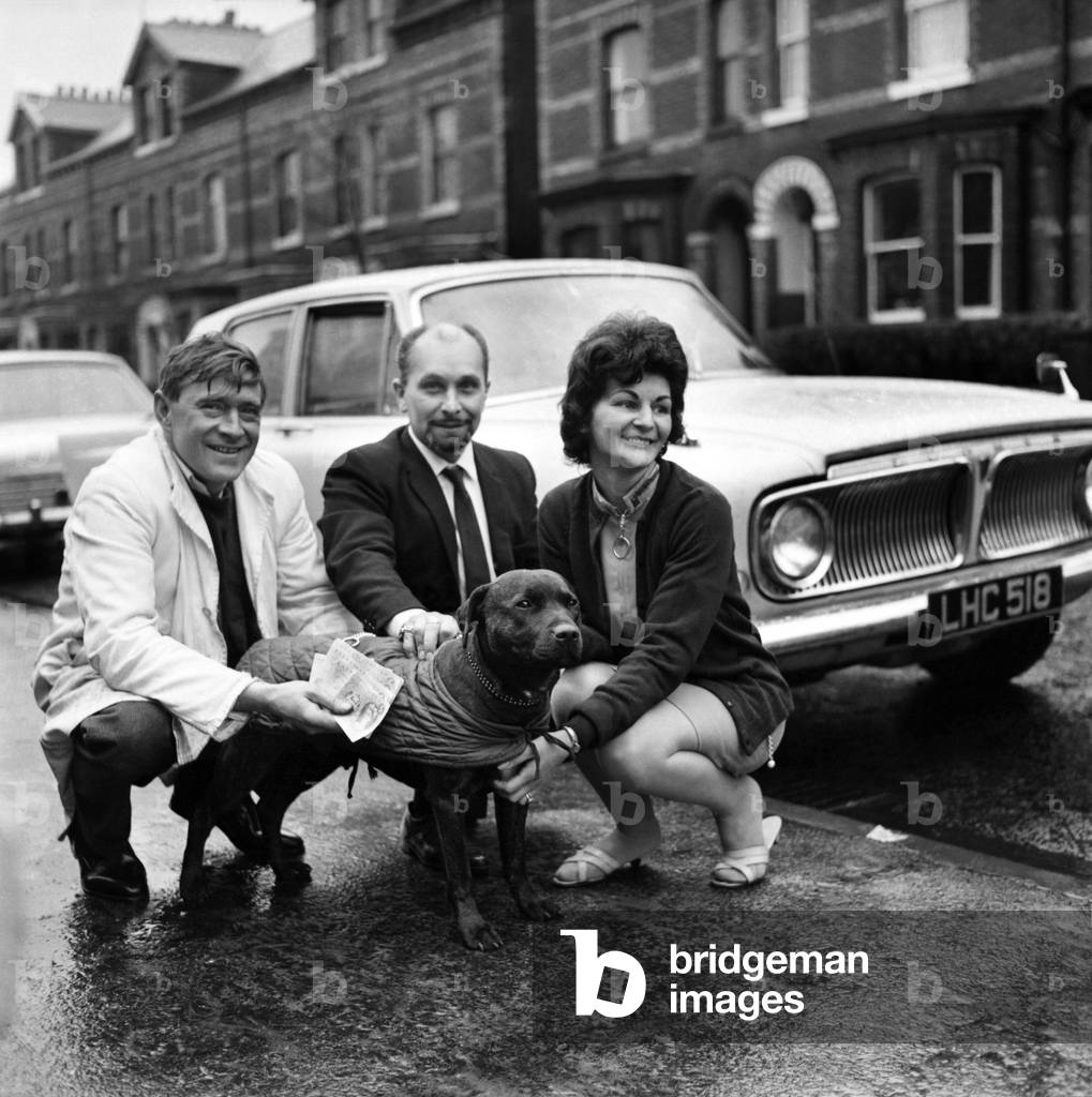 Humour people with animals family group in their home with their pet dog. December 1969