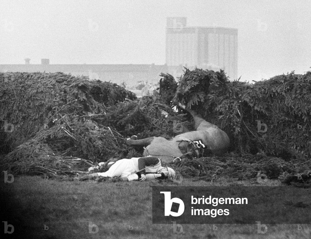 Jockey Paddy Farrell is thrown from his horse Border Flight at the 15th fence of the Aintree Grand National. Farrell broke his back in the accident and was confined to a wheelchair. 21st March 1964 (b/w photo)