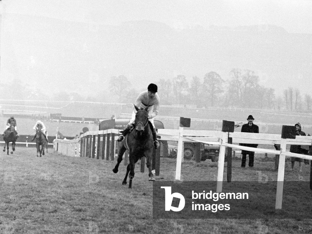 Jockey Pat Taaffe brings Arkle into the last straight before the last fence home on his way to winning the Cheltenham Gold Cup, 17th March 1966 (b/w photo)