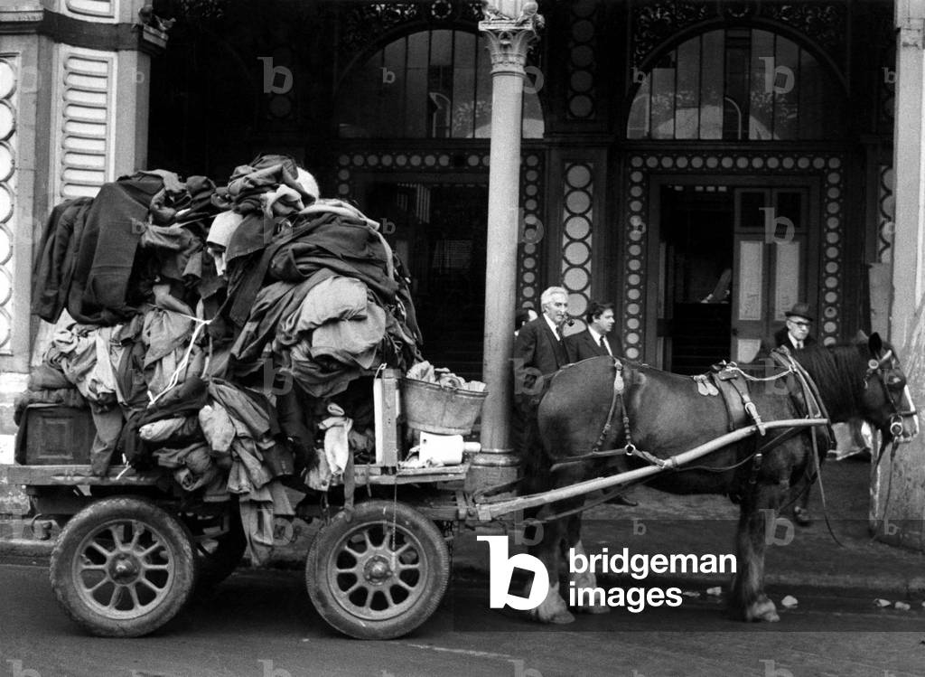 Horse and Cart. Street scene. November 1974