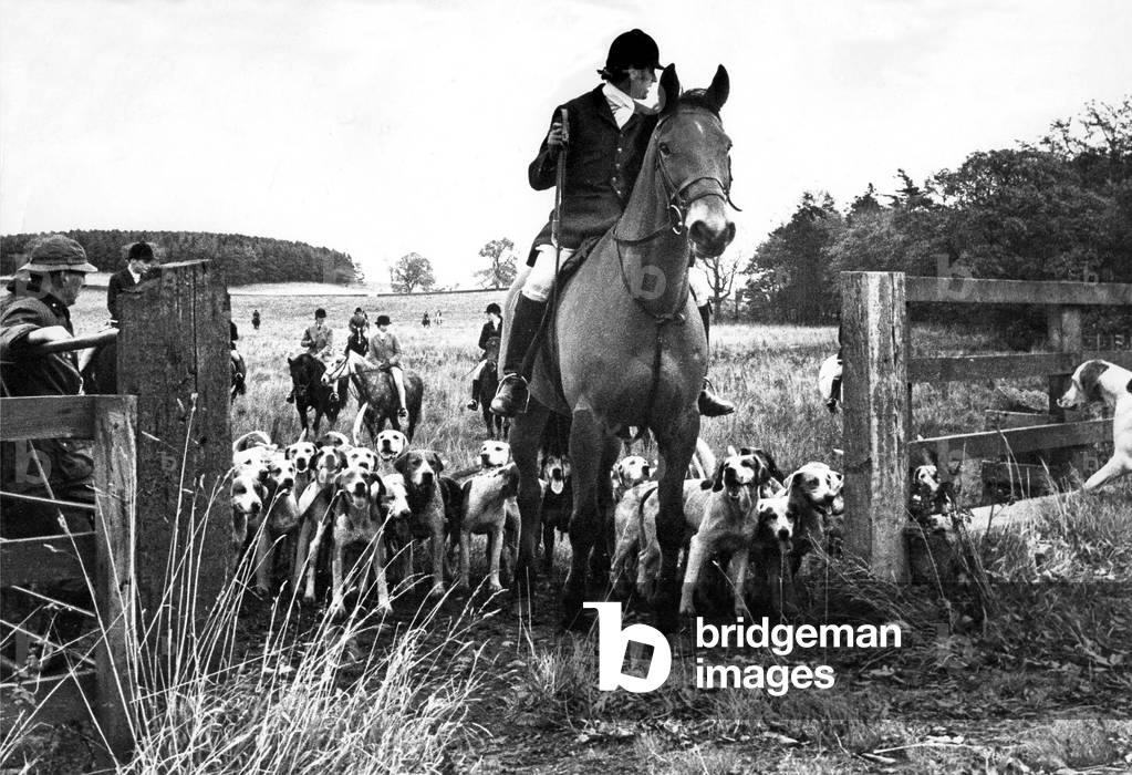 Silhouetted against an autumn sky, Mr. George Fairbairn, Master of the Tynedale Hunt, waits as the hounds are whipped in to cross the busy A696 road to Jedburgh at Wallington during one of the first meets of the season, November 1971 (b/w photo)