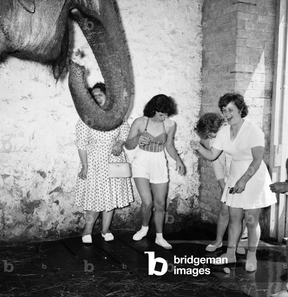 Bultins Holiday Pwllheli: Mrs. Nellie McGrail, Pools Winner. Horse riding/Boating/Elephant/Roller skating/Family. The McGrail and a young holiday camper meet the camp elephant, Gertie. June 1960