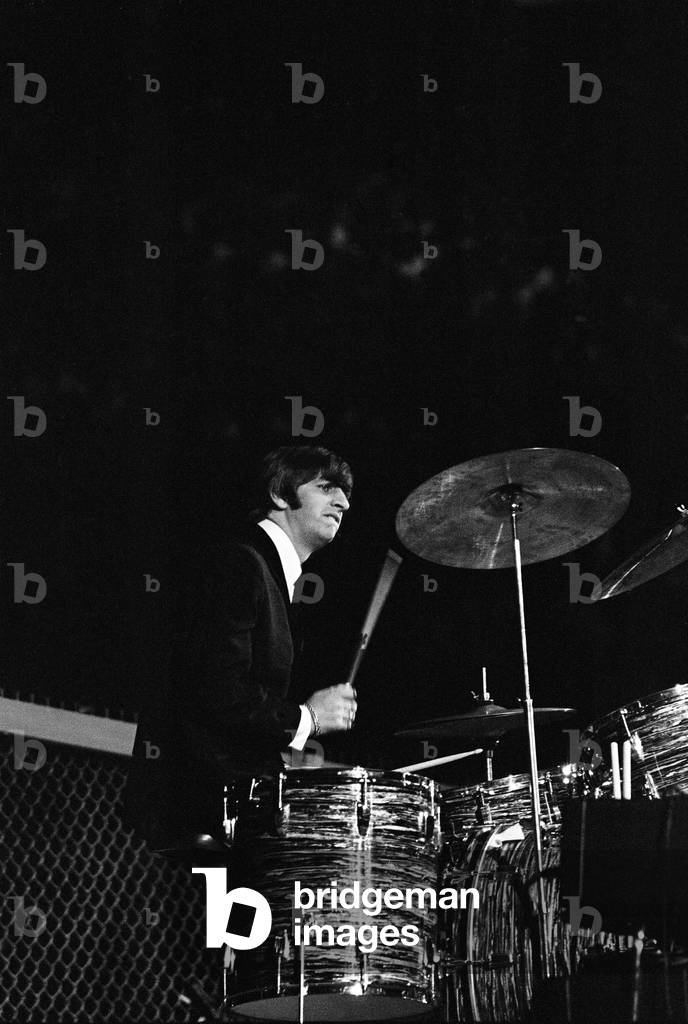 British pop group The Beatles performing on stage at the Cow Palace in San Francisco, California during their visit to the USA. Drummer Ringo Starr. 19th August 1964 (b/w photo)