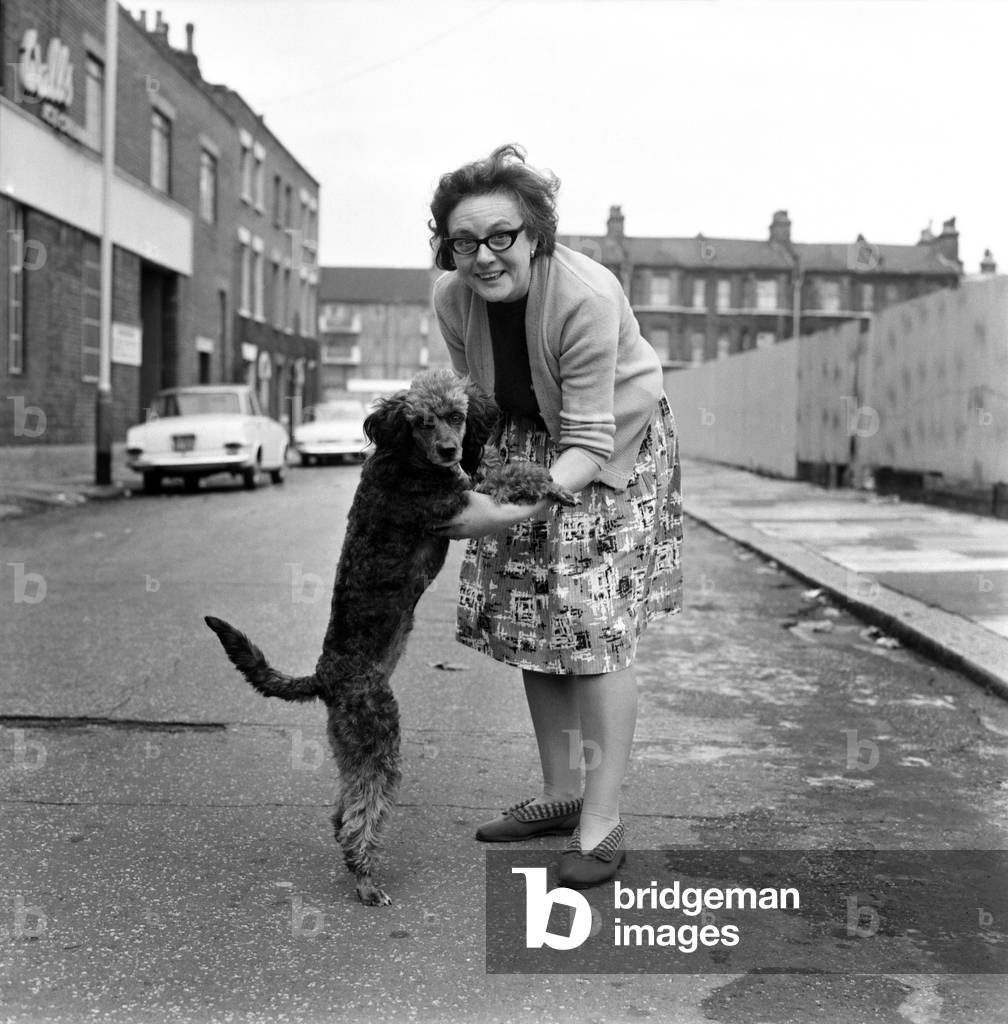 Mrs. Ivy Fuller of Gundulf Street, Kennington, with her grey poodle which has a foot-long tail to wag. November 1969 Z11402