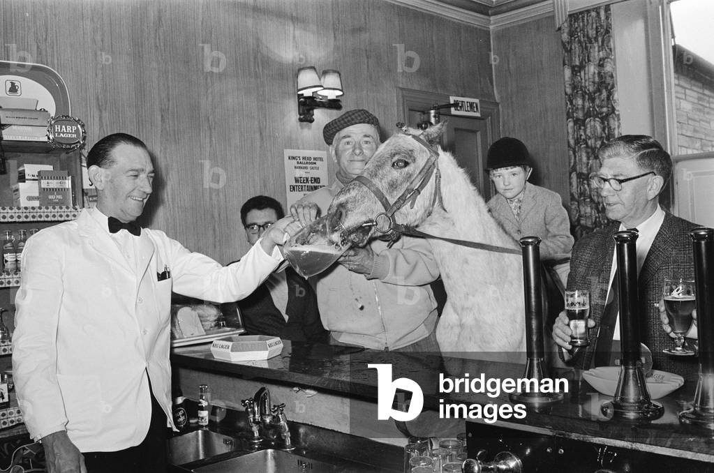 Whisky the pony at his local pub, The King's Head Hotel Bar in Barnard Castle County Durham, to drink his 3 pint daily allowance of beer, while patient rider Deborah Hooper (6) has to wait outside (as she is too young to drink in a bar), 7th May 1968 (b/w photo)