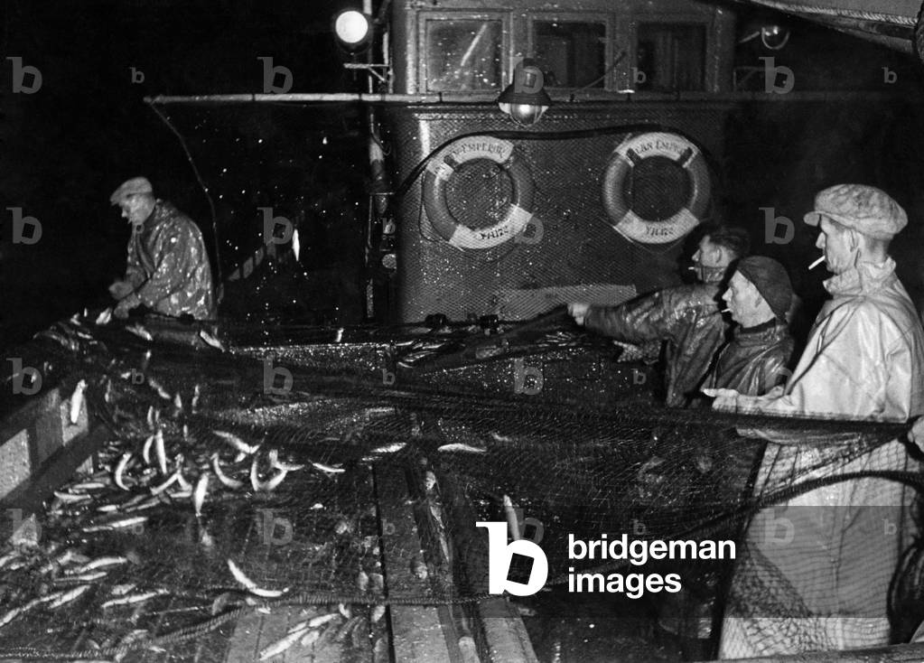 Fishermen on biard their fishing boat, with the catch in their nets
February 1946