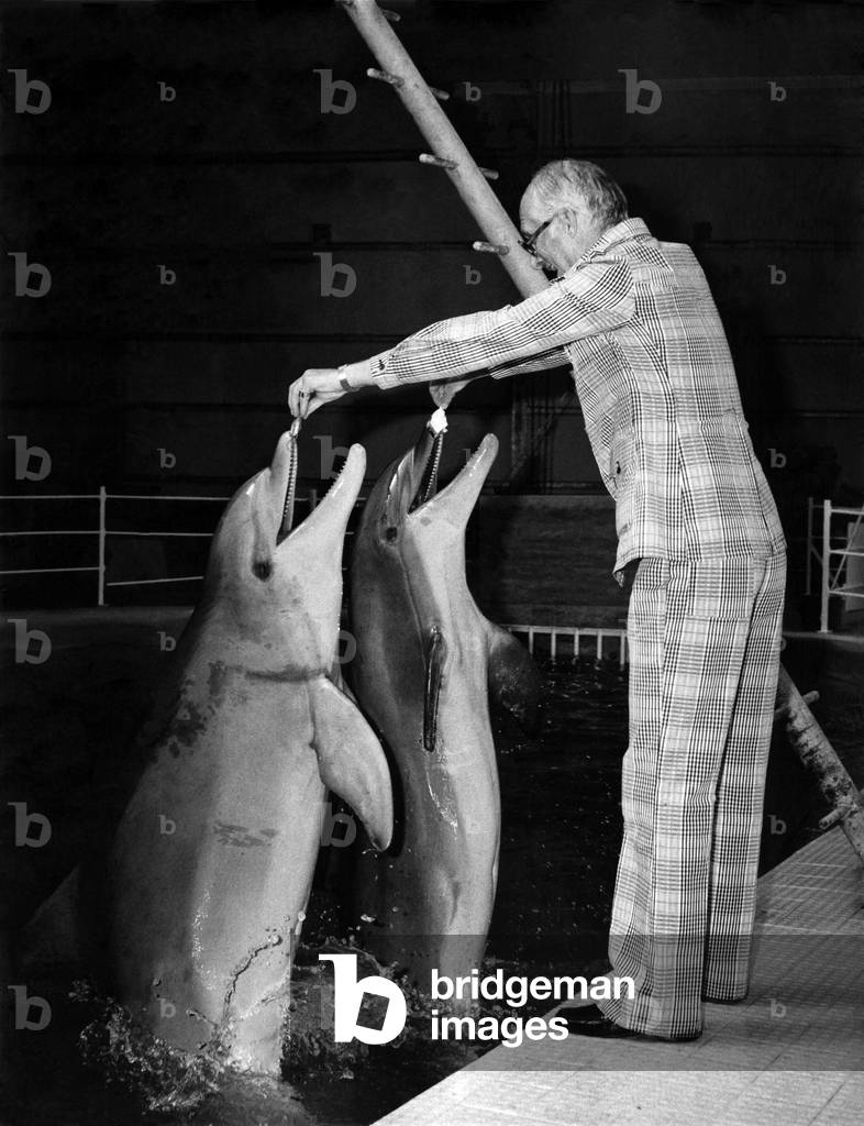 Animals - Dolphins. The Duke of Bedford with dolphins Anne and Mark, at his new Dolphinarium at Woburn. August 1973