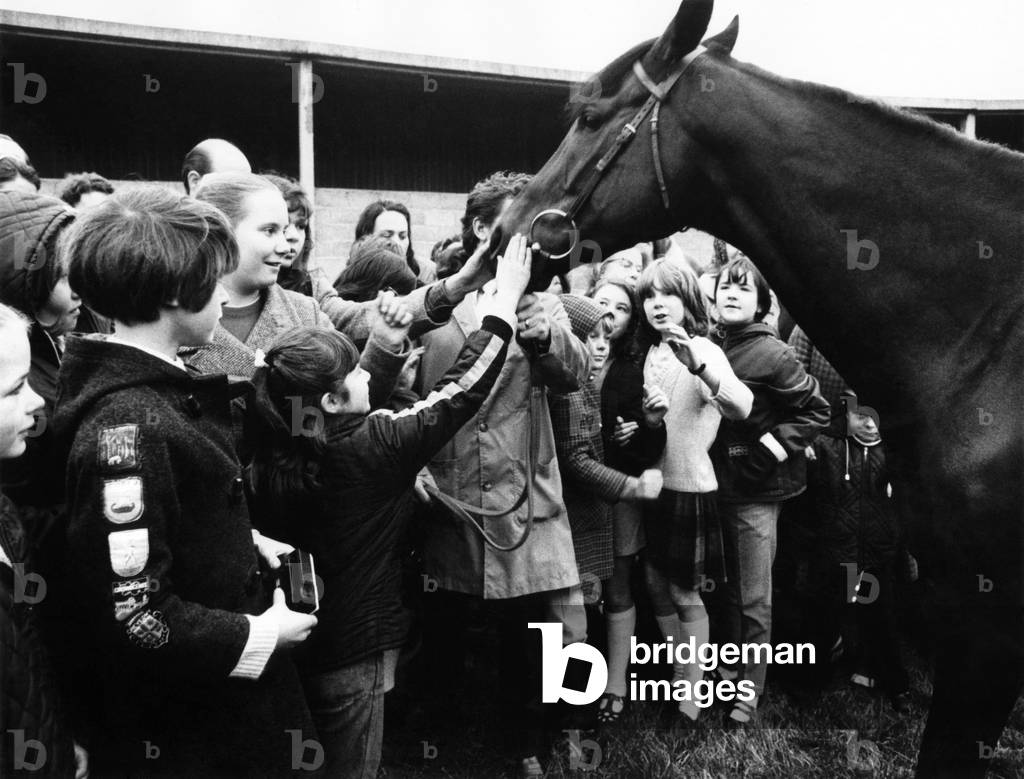 Champion racehorse Mill Reef makes his farewell appearance at Kingsclere. 
January 1973