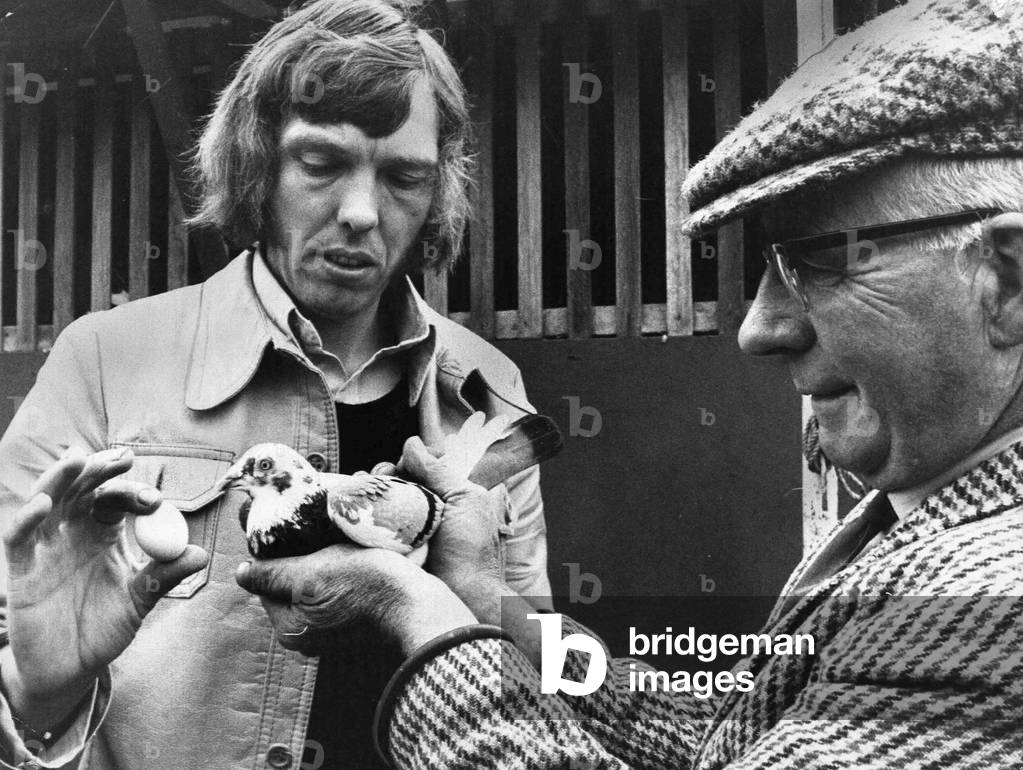 Unisex pigeon at Kings Lynn with its owner Anthony Batterby and Len Rush.
30/06/1974