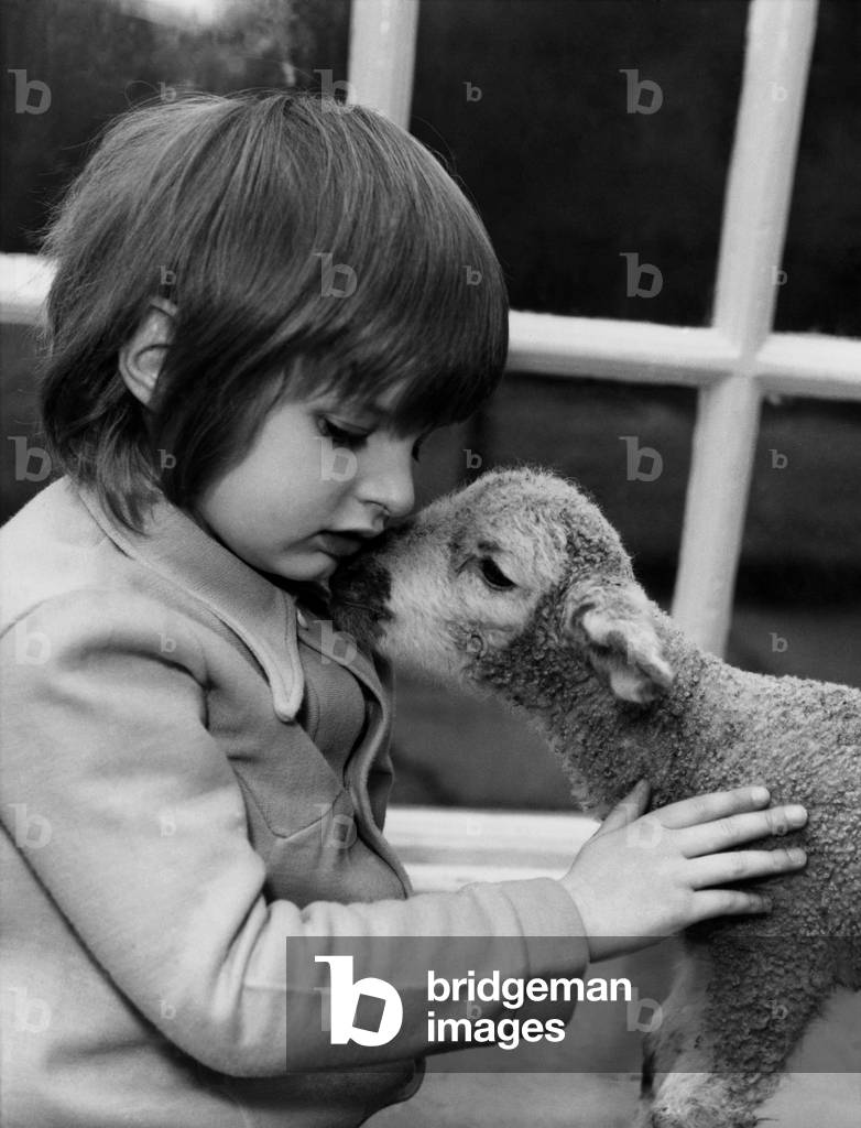 Animals : Children & Lambs. January 1974 (b/w photo)