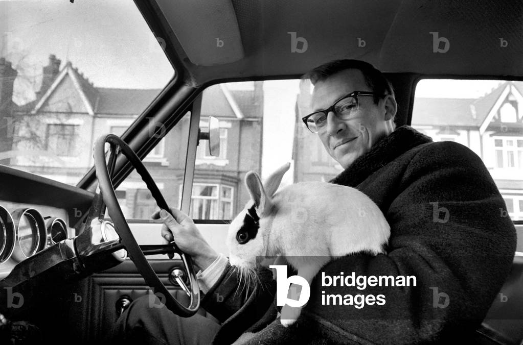 Dougle the tame rabbit found in Ray William's taxi, December 1969
