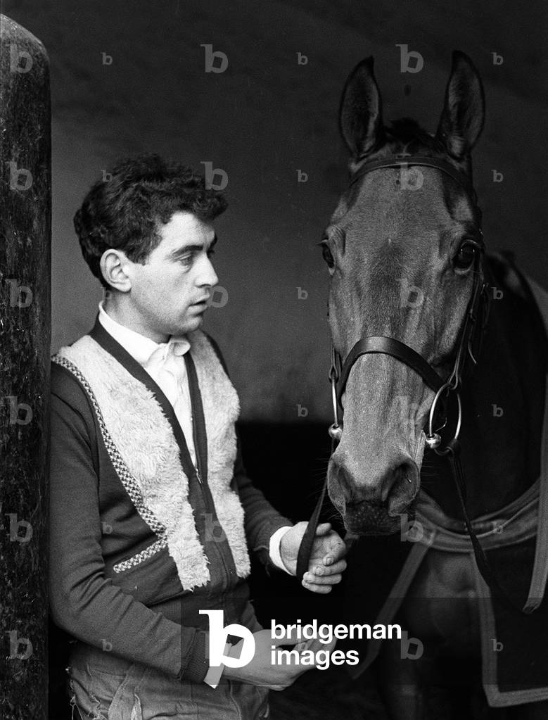 Famous racehorse Arkle standing at the stable door at Tom Dreapers yard. 3rd February 1966 (b/w photo)