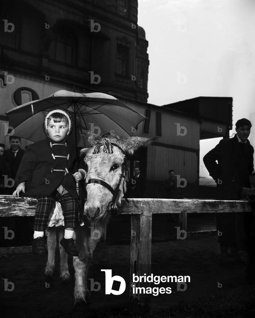 Under a large umbrella is two year old Margaret Curry of Aston, Preston, shelters Lulu, one of the donkeys at New Brighton, Merseyside. 1st April 1959 (b/w photo)