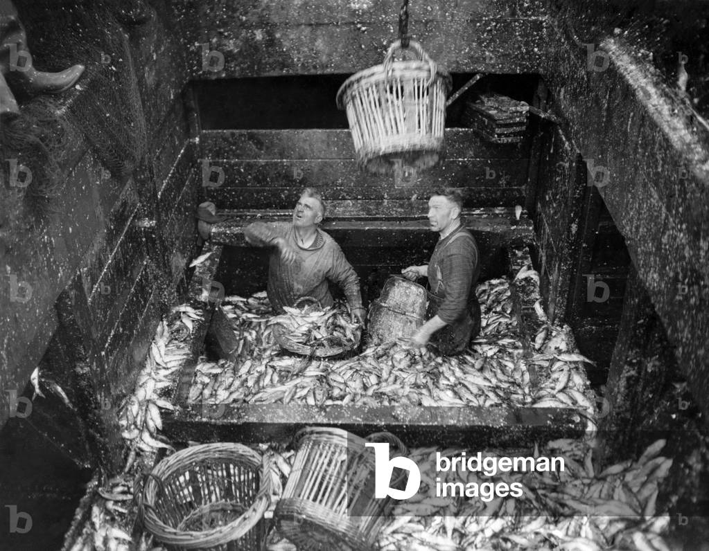A few herring are coming into Yarmouth - a view down the hold showing men waist deep in fish. 
October 1934