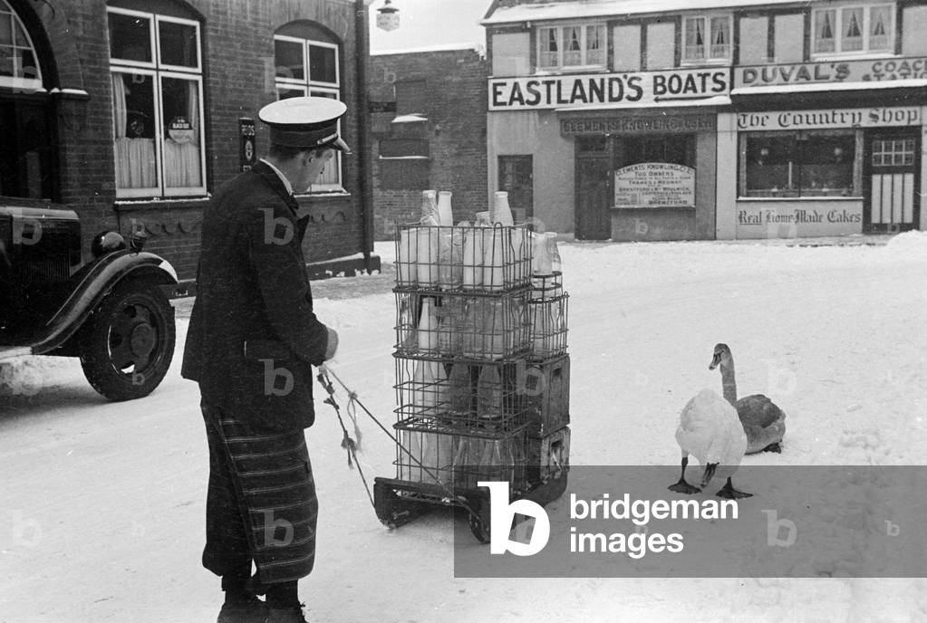 The heavy fall of snow overnight sees the milkman delivering his milk by sledge, as two swans look on with amusement, 18th January 1940 (b/w photo)