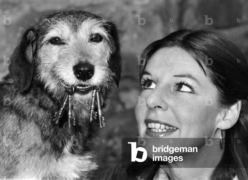 Not Just A Pretty face. applies as much to superdog Savage as it does to his absent-minded mistress Lesley Scholes. November 1979