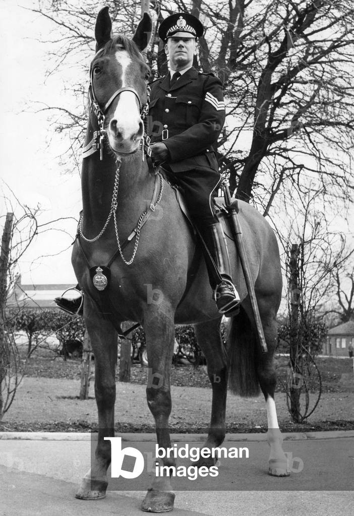 Police Sergeant Tom Rorison aboard his police horse Pandus, c.1960