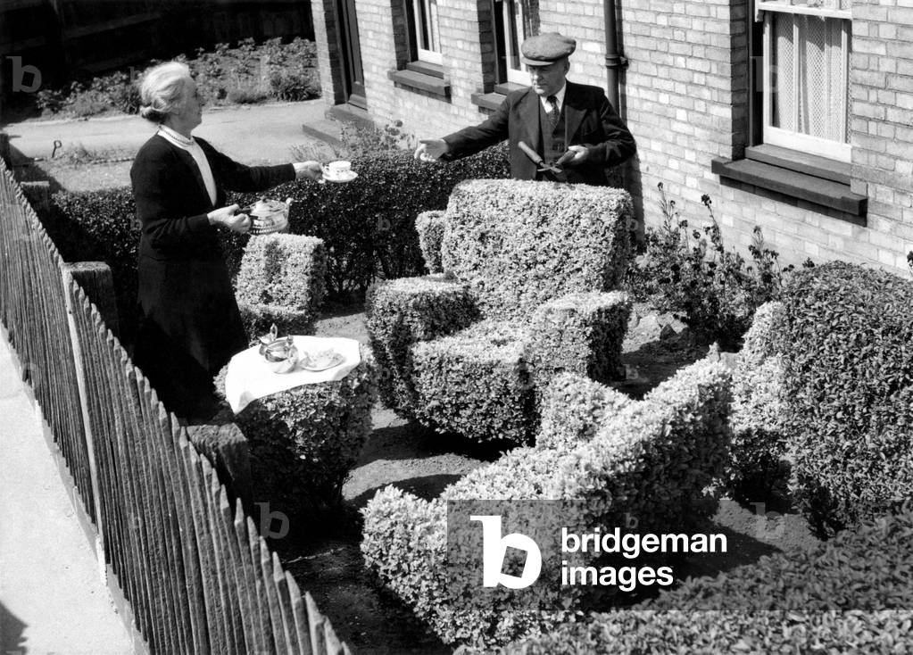 It took Mr. and Mrs. E.A. Mitchell twenty-eight years to grow this 